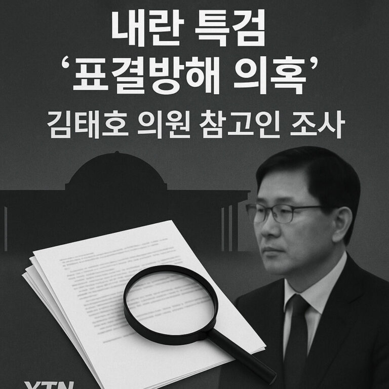 내란특검 이미지